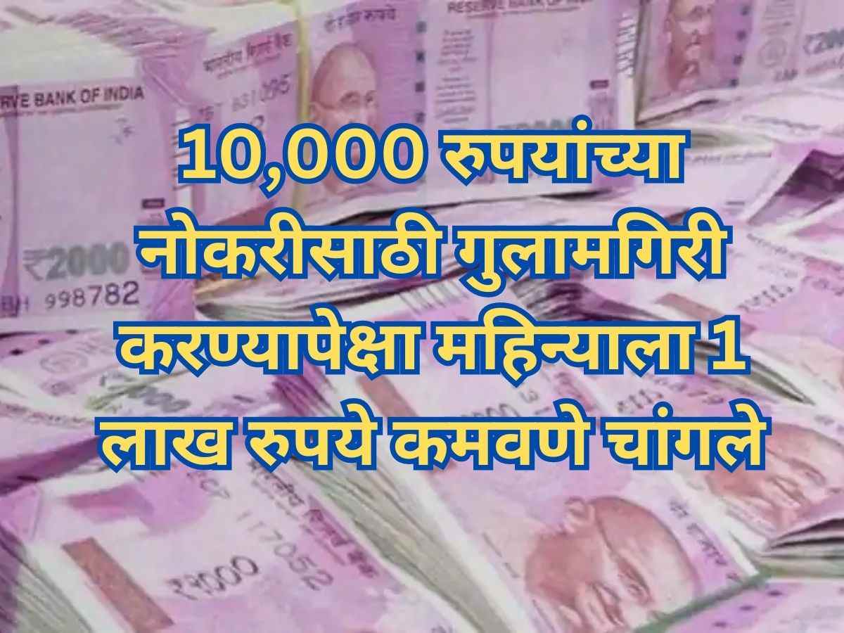 Earn 1 Lakh Rupee Money Per Month In Marathi