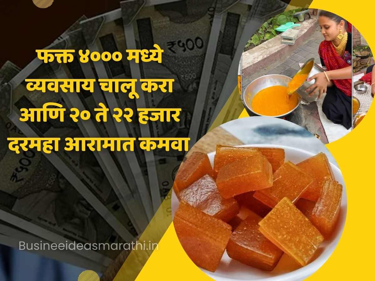 How To Start Aam Papad Making Business In Marathi